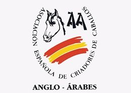 Asociación Española de Criadores de Caballos Anglo-Árabes