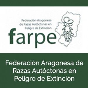 federacion aragonesa de razas autoctonas en peligro de extincion - feagas