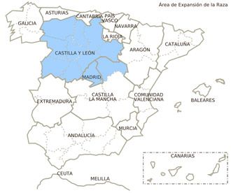 avileña negra iberica bociblanca - distribucion geografica - feagas