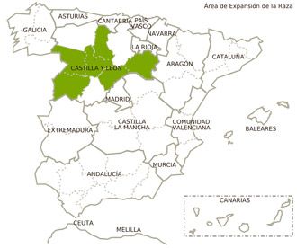 castellana negra ovino distribucion geografica feagas