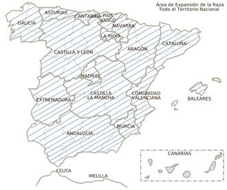 combatiente español avicultura distribucion geografica feagas