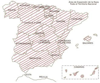 española equino caballar distribucion geografica feagas