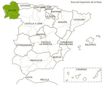 gallega ovino distribucion geografica feagas