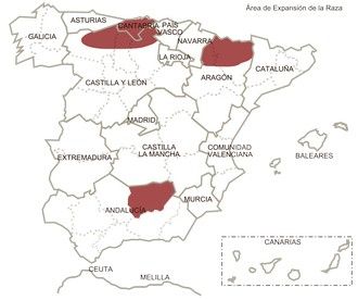hispano bretona equino caballar distribucion geografica feagas