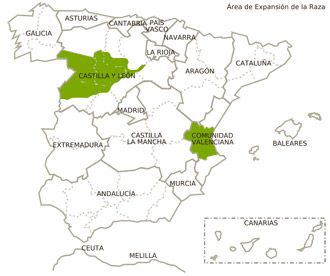 castellana blanca ovino distribucion geografica feagas