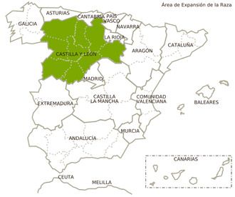 churra ovino distribucion geografica feagas