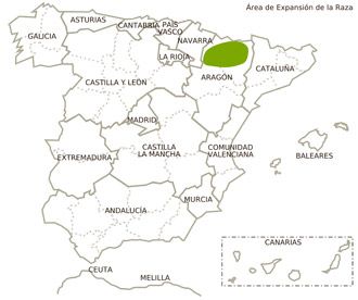 churra tensina ovino distribucion geografica feagas