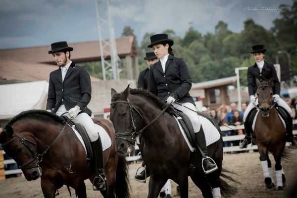 El caballo Pura Raza Galego inaugurará Equiocio 2016 con un espectáculo de doma clásica