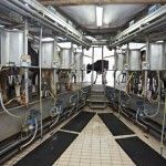 Las industrias lácteas pueden empezar a remitir al Ministerio la información sobre sus precios de cesión a las empresas de la distribución