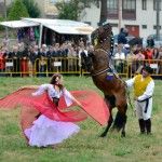 El Cabalo Galego estará presente en la Feria de las Flores de Vilarmaior
