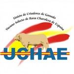 UCHAE celebrará del 4 al 7 del próximo mes de marzo, en Salamanca, el concurso-exposición de terneros de raza Charolesa