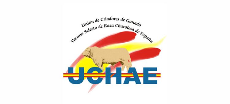 UCHAE celebrará del 4 al 7 del próximo mes de marzo, en Salamanca, el concurso-exposición de terneros de raza Charolesa