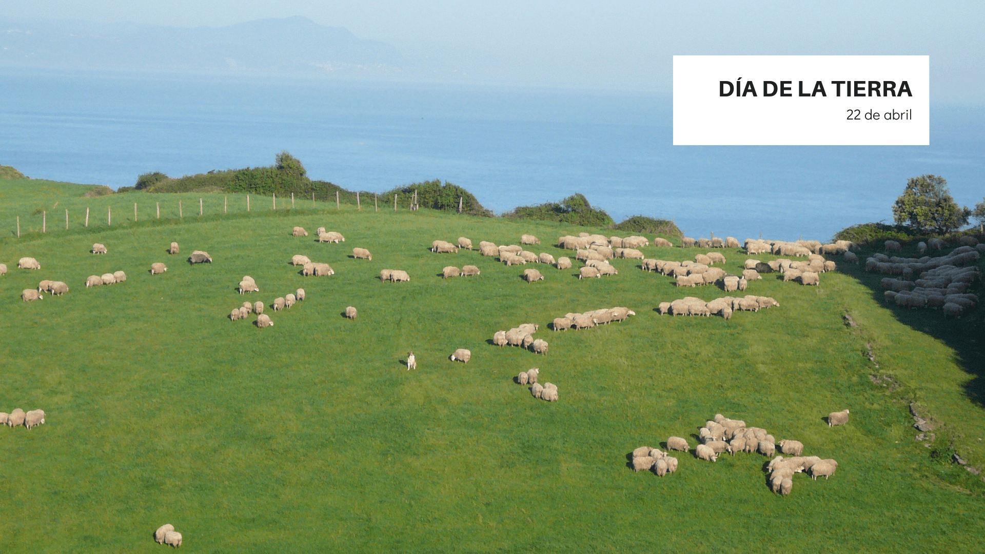 DIADELATIERRAGRANDE1 RFEAGAS