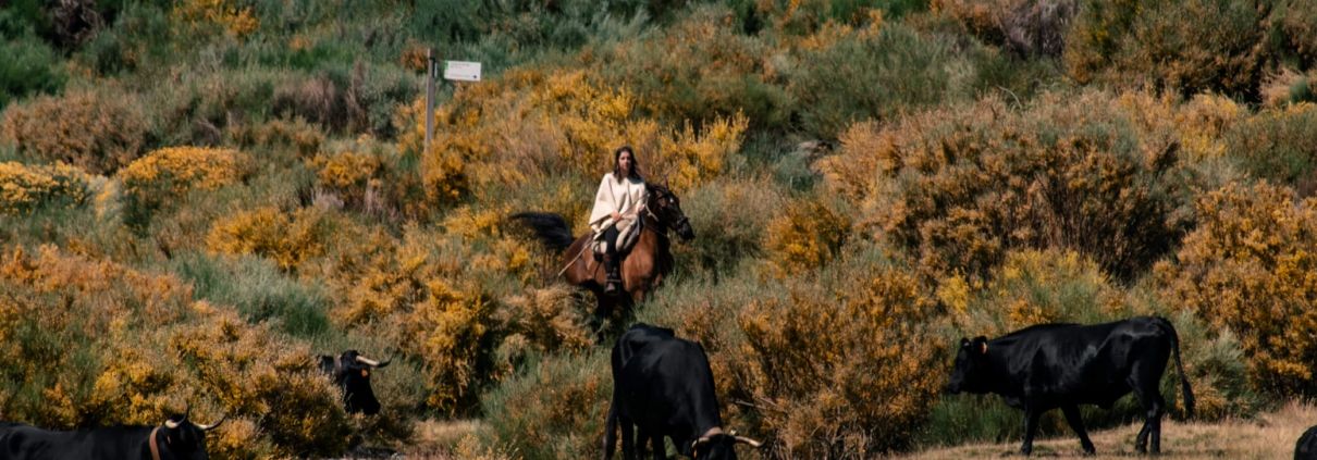 Primer Premio: María Casillas Calvo
