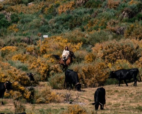 Primer Premio: María Casillas Calvo